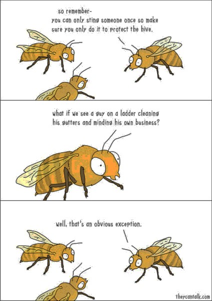 Name:  bee-logic.jpg
Views: 1943
Size:  59.5 KB
