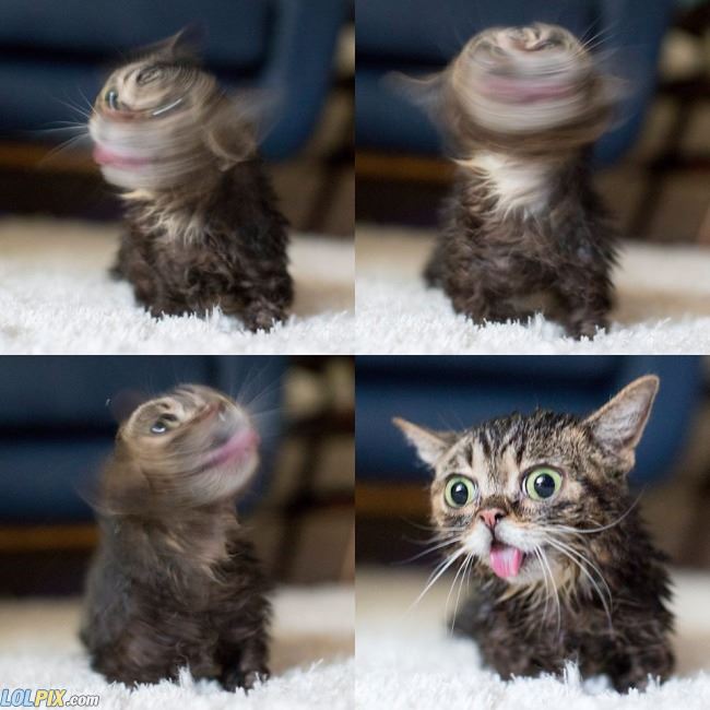Name:  What_What_What.jpg
Views: 1023
Size:  53.4 KB