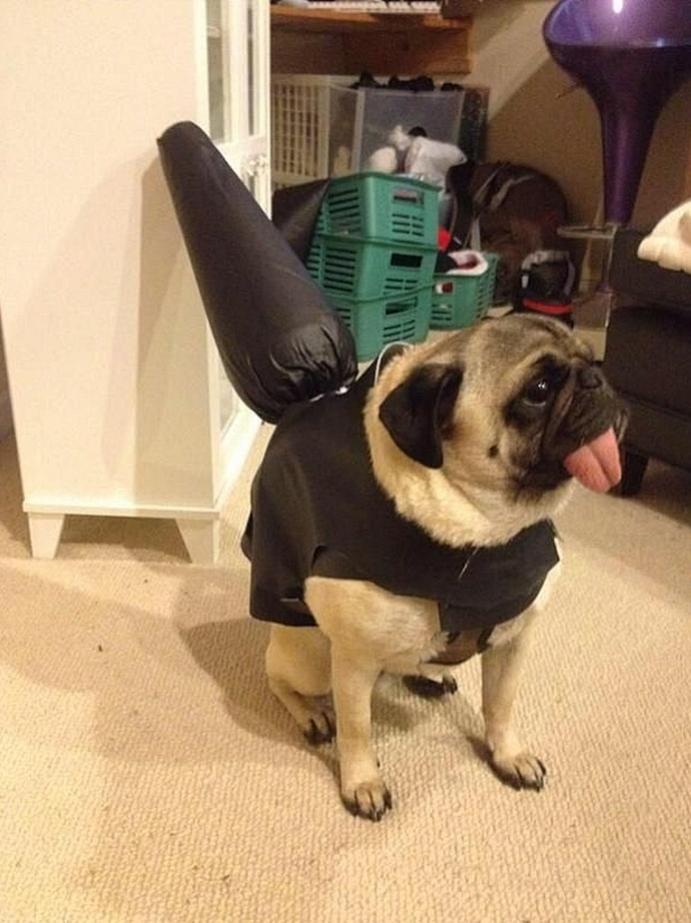 Name:  buttplugcostume.jpg
Views: 1448
Size:  78.5 KB