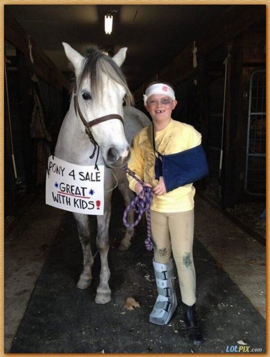Name:  pony4sale.JPG
Views: 2064
Size:  63.8 KB