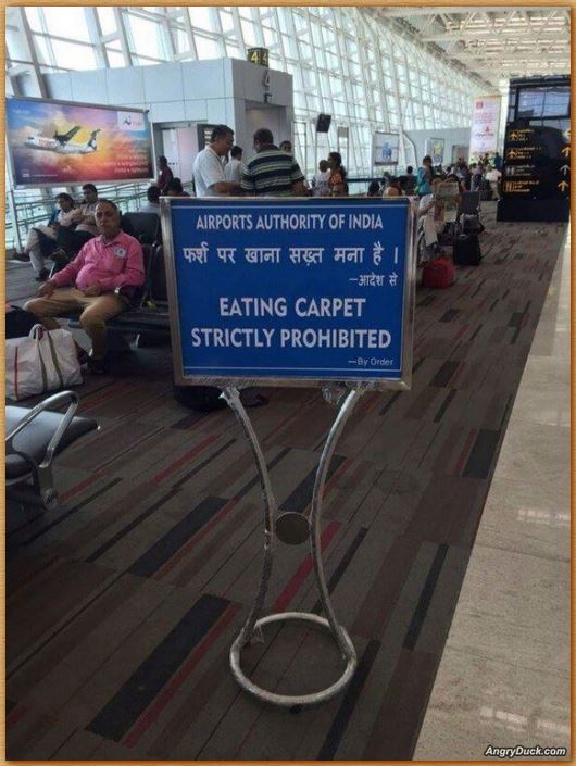 Name:  nocarpetmunching.JPG
Views: 1423
Size:  76.5 KB