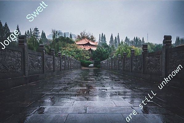 Name:  albumcover.JPG
Views: 343
Size:  75.1 KB