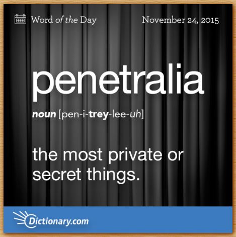 Name:  penetralia.JPG
Views: 4850
Size:  42.8 KB
