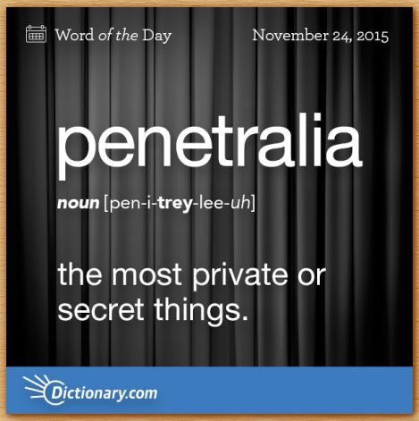 Name:  penetralia.JPG
Views: 454
Size:  42.8 KB