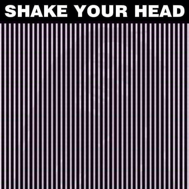Name:  shake your head.jpg
Views: 430
Size:  50.9 KB