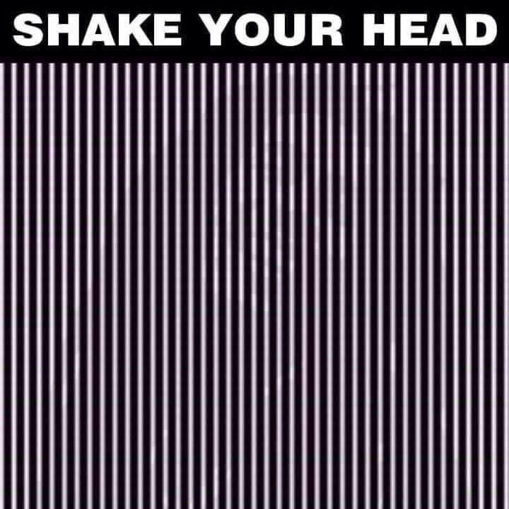 Name:  shake your head.jpg
Views: 356
Size:  50.9 KB