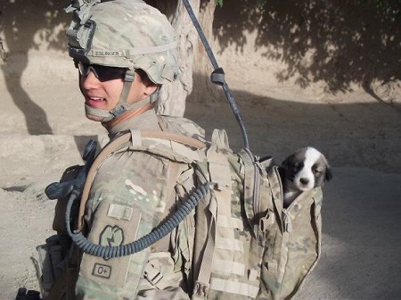 Name:  soldier carries rescue animal.jpg
Views: 172
Size:  66.9 KB