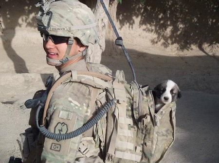 Name:  soldier carries rescue animal.jpg
Views: 327
Size:  66.9 KB
