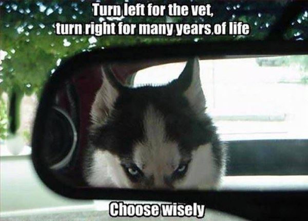 Name:  Choose_Wisely.jpg
Views: 744
Size:  41.5 KB