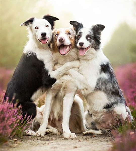 Name:  Group_Picture.jpg
Views: 673
Size:  74.3 KB