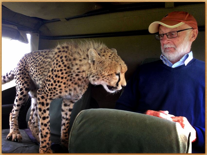 Name:  cheetah.JPG
Views: 426
Size:  96.9 KB