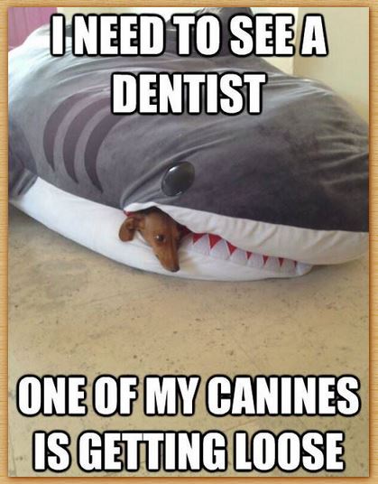 Name:  dentist.JPG
Views: 686
Size:  51.7 KB
