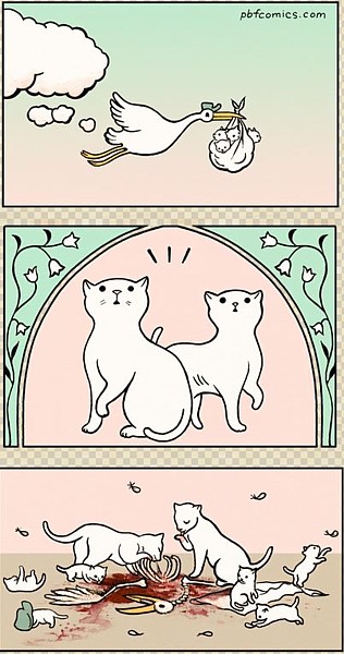 Name:  cats.JPG
Views: 513
Size:  70.1 KB