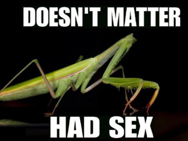 Name:  dontmatter.jpg
Views: 834
Size:  32.5 KB