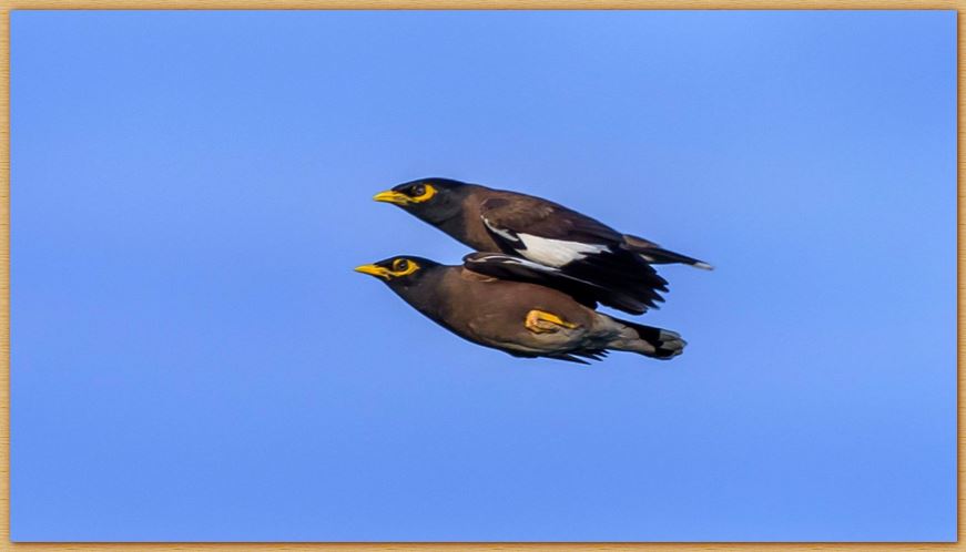 Name:  mynas.JPG
Views: 1081
Size:  35.4 KB