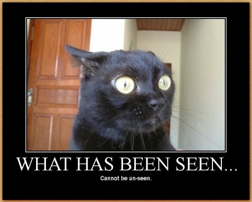 Name:  seenunseen.JPG
Views: 1149
Size:  37.1 KB