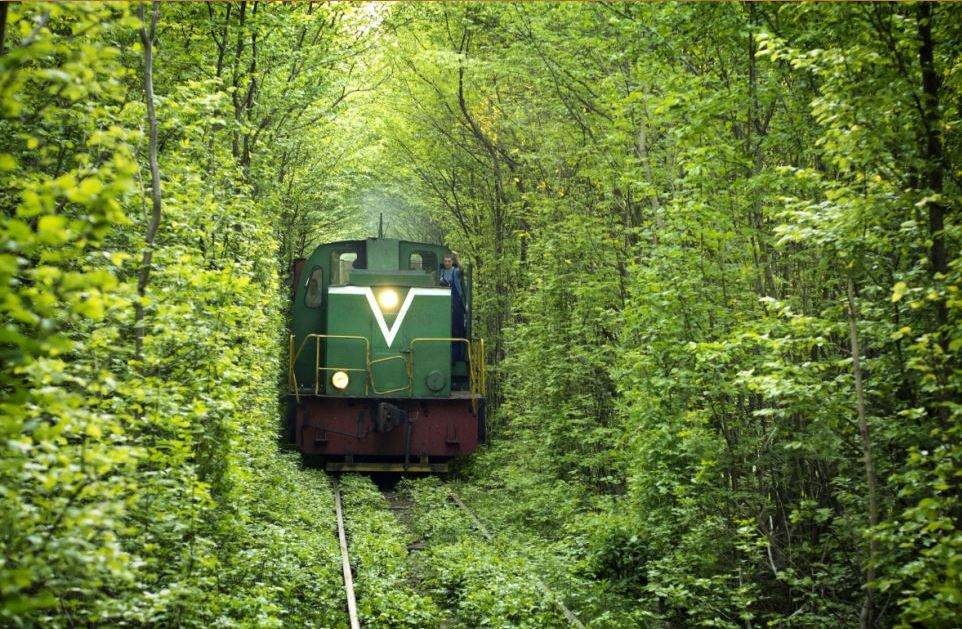 Name:  train.jpg
Views: 2774
Size:  162.6 KB