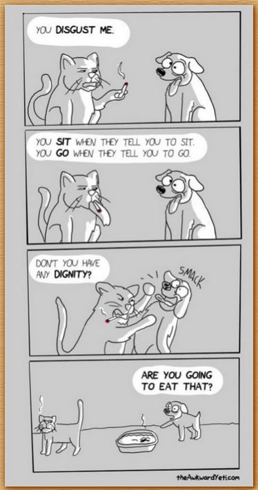 Name:  catdog.JPG
Views: 413
Size:  50.7 KB