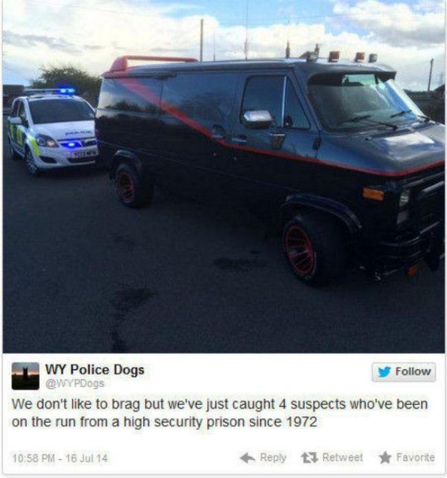 Name:  Police_Dogs.jpg
Views: 393
Size:  56.8 KB