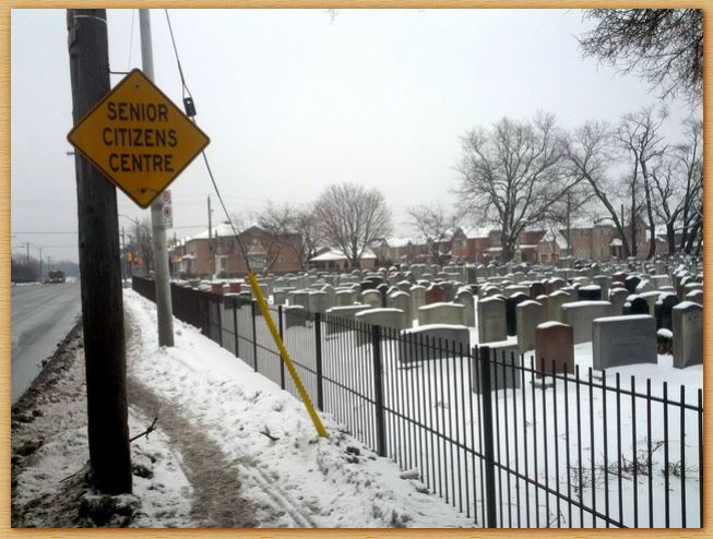 Name:  seniorcenter.JPG
Views: 942
Size:  74.7 KB