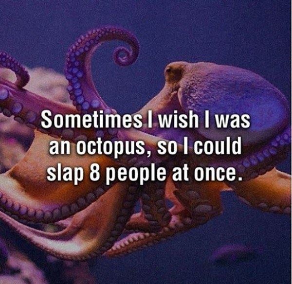 Name:  I_Wish_I_Was_An_Octopus.jpg
Views: 300
Size:  74.7 KB