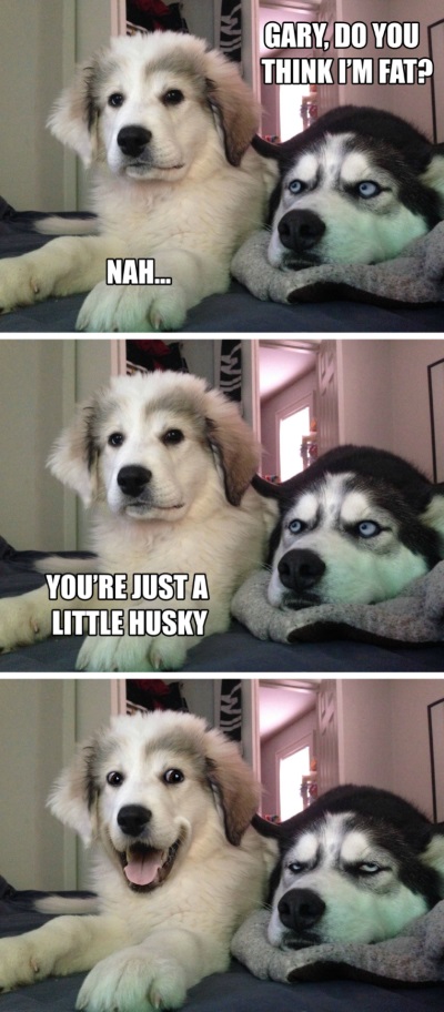 Name:  HUSKY.jpg
Views: 624
Size:  120.7 KB