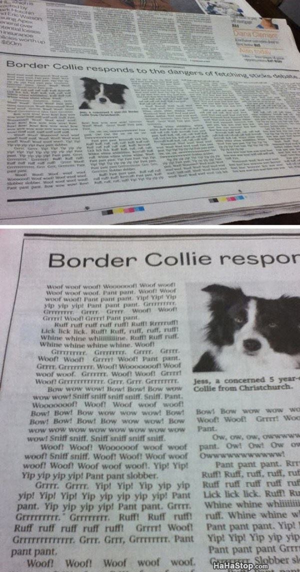 Name:  Border_Collie_Responds.jpg
Views: 224
Size:  133.2 KB