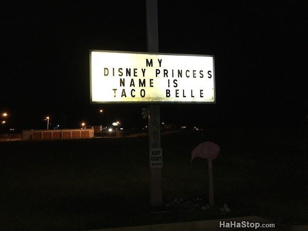Name:  My_Disney_Princess_Name.jpg
Views: 743
Size:  22.5 KB