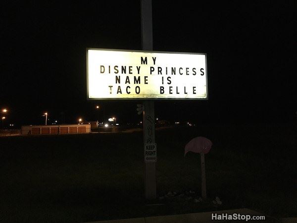 Name:  My_Disney_Princess_Name.jpg
Views: 721
Size:  22.5 KB