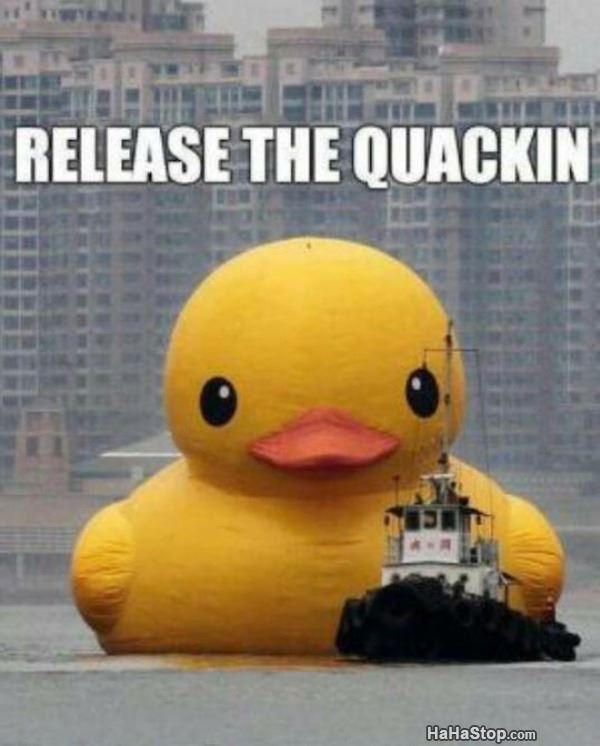 Name:  Release_The_Quackin.jpg
Views: 650
Size:  49.4 KB