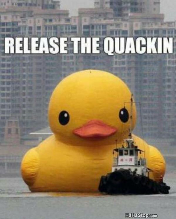 Name:  Release_The_Quackin.jpg
Views: 479
Size:  49.4 KB