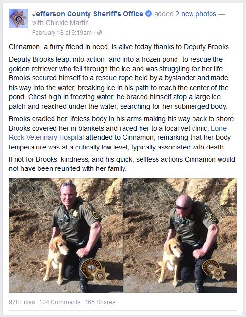 Name:  Brooks&Cinnamon.JPG
Views: 1281
Size:  114.1 KB