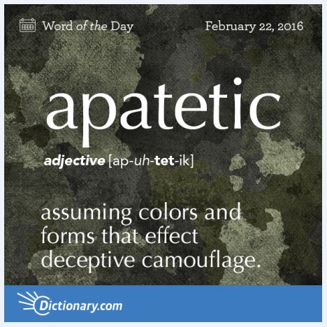 Name:  apatetic.JPG
Views: 1826
Size:  60.4 KB