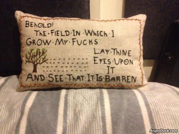 Name:  My Fuck Field.jpg
Views: 256
Size:  51.5 KB