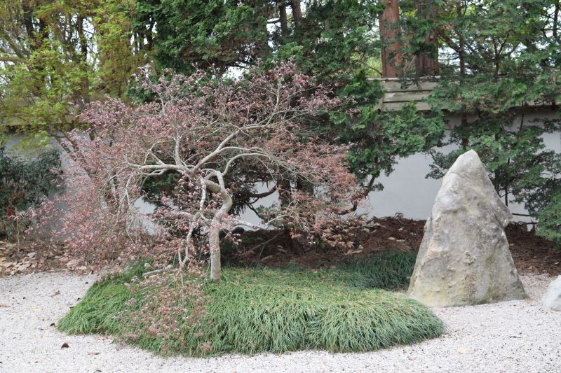 Name:  JapaneseGarden-002.JPG
Views: 400
Size:  154.7 KB