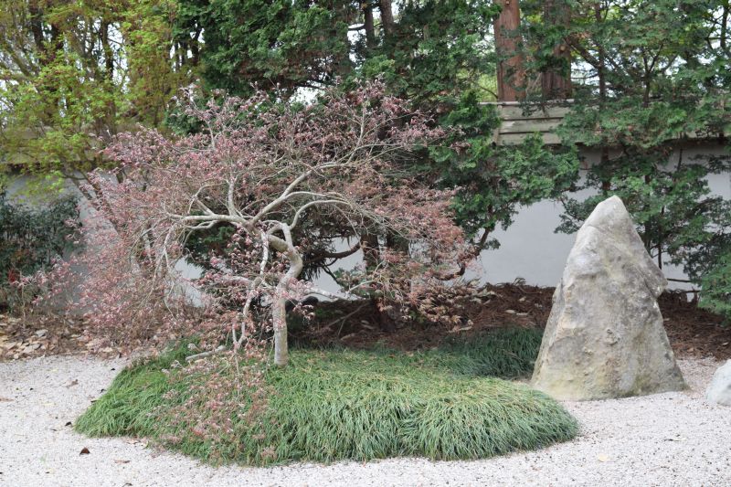 Name:  JapaneseGarden-002.JPG
Views: 267
Size:  154.7 KB