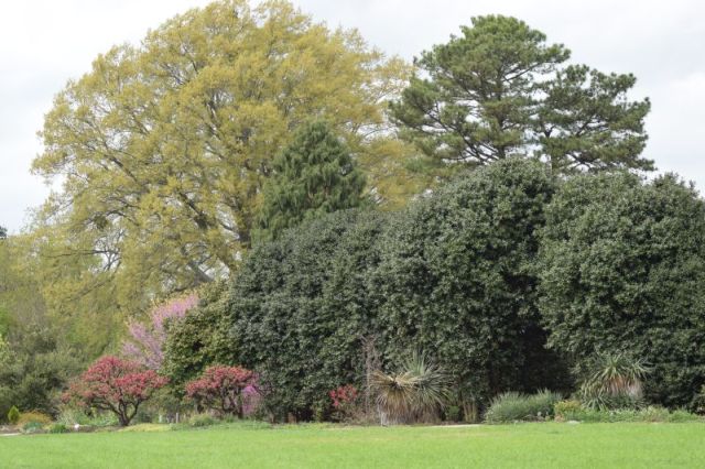 Name:  TreeLines.JPG
Views: 421
Size:  134.9 KB