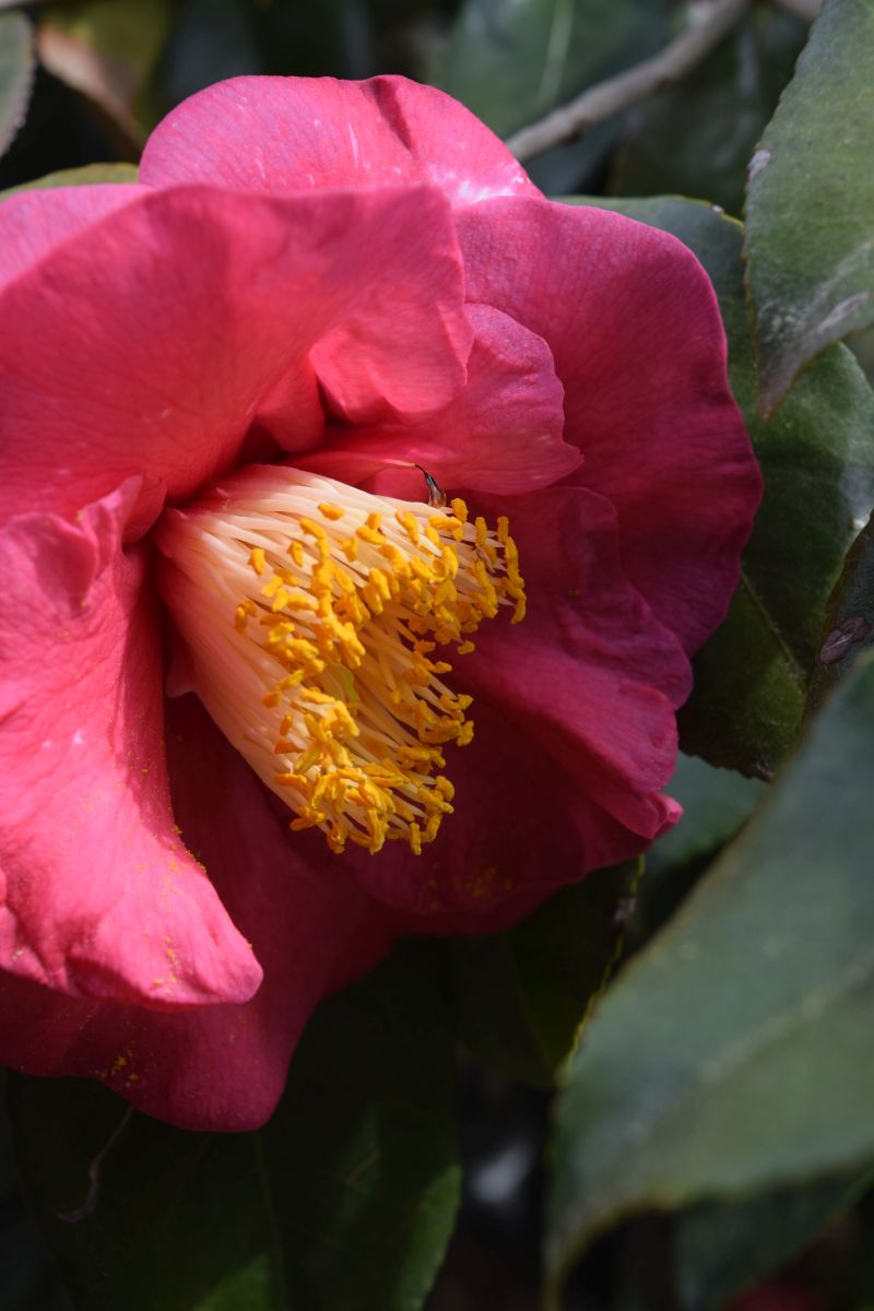 Name:  RegRagland-001.JPG
Views: 413
Size:  100.8 KB