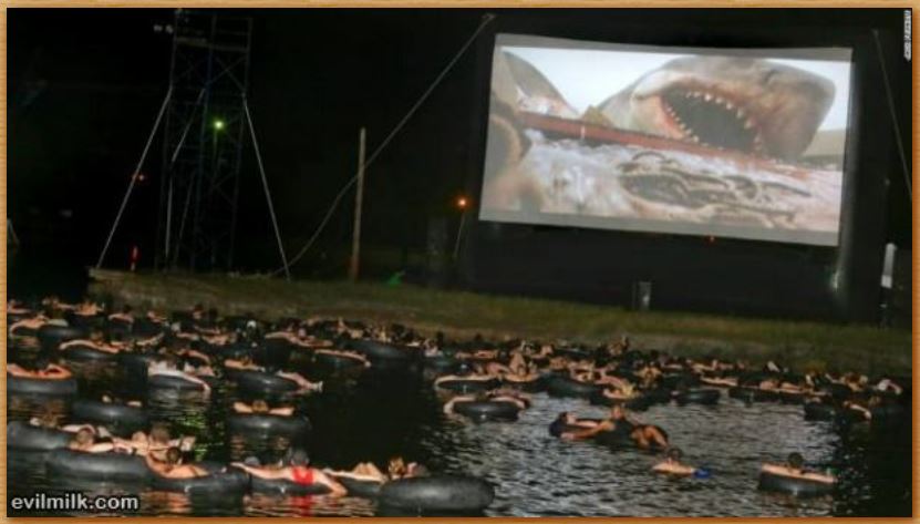 Name:  jawsatthefloatin.JPG
Views: 2587
Size:  57.5 KB