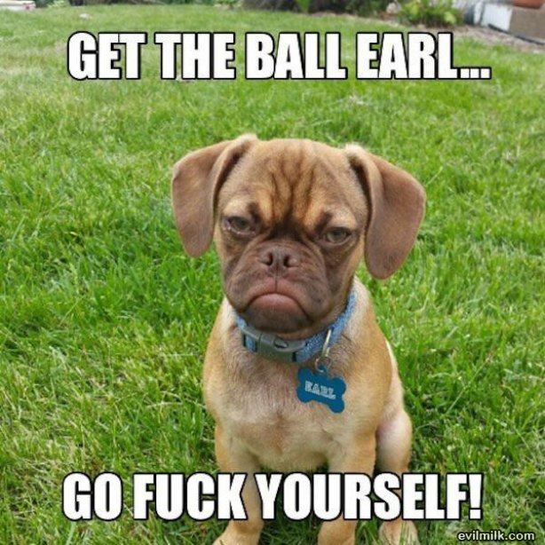 Name:  earl.jpg
Views: 830
Size:  92.5 KB