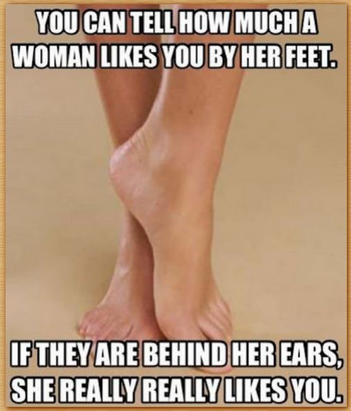 Name:  ears.JPG
Views: 1381
Size:  47.4 KB