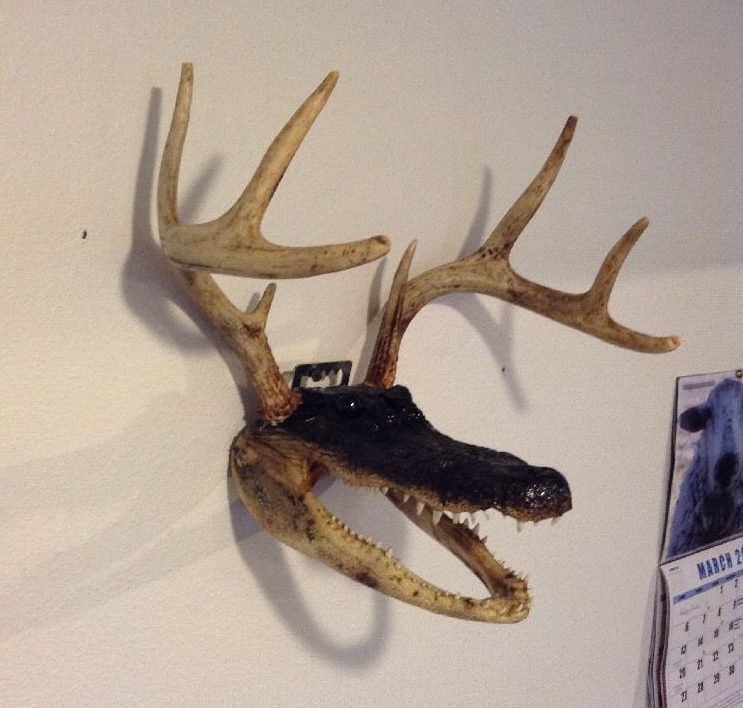 Name:  gatorhead.jpg
Views: 1107
Size:  143.5 KB
