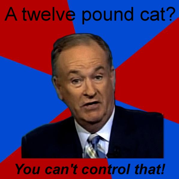Name:  12lbcat.jpg
Views: 175
Size:  43.1 KB