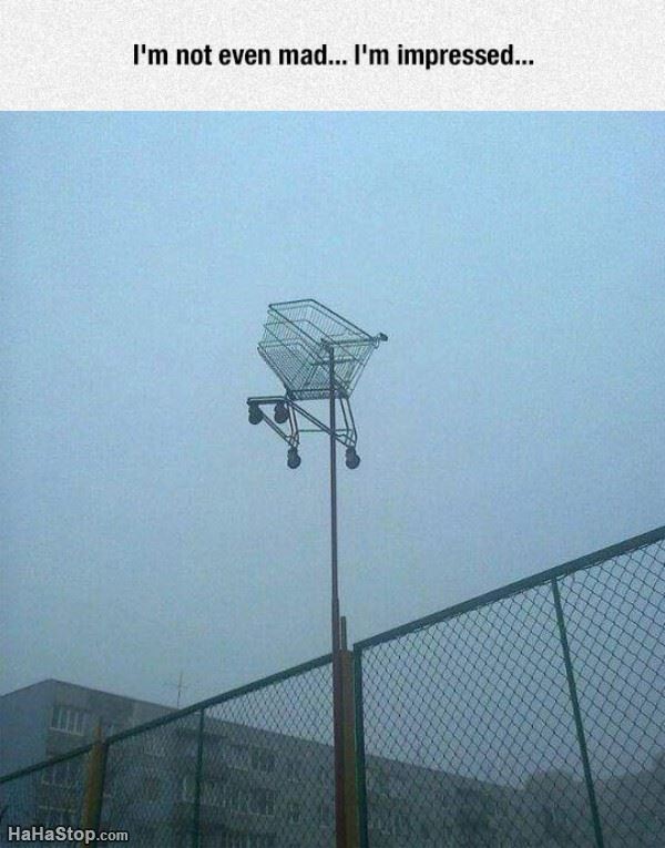 Name:  Not_Even_Mad.jpg
Views: 992
Size:  65.7 KB