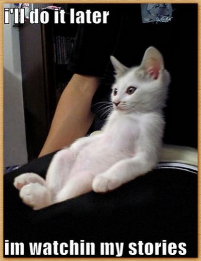 Name:  kittehstories.JPG
Views: 300
Size:  37.2 KB