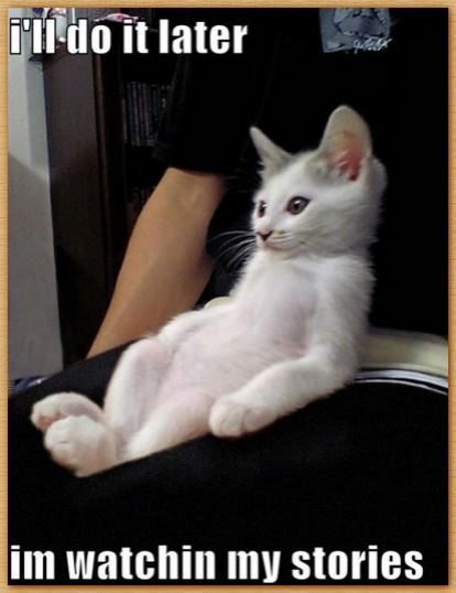 Name:  kittehstories.JPG
Views: 444
Size:  37.2 KB
