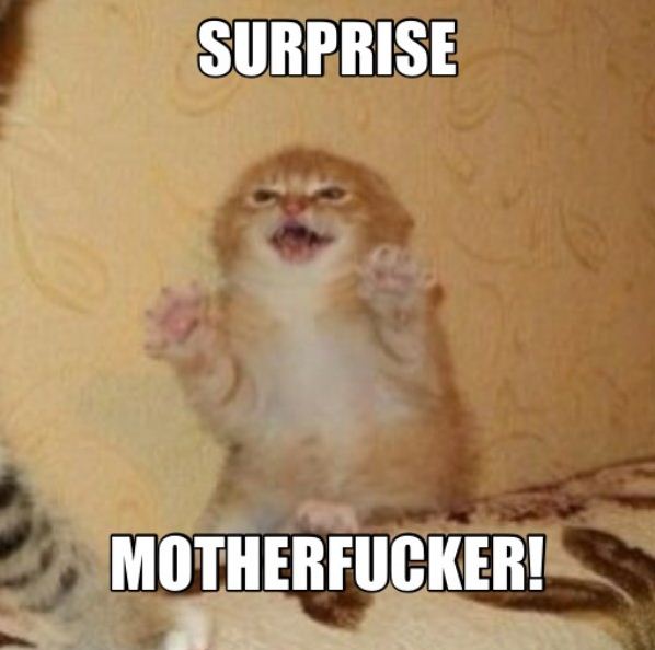 Name:  Surprise_Cat.jpg
Views: 301
Size:  37.9 KB