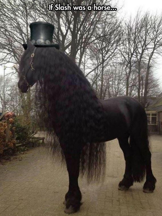 Name:  slashasahorse.JPG
Views: 1596
Size:  94.1 KB