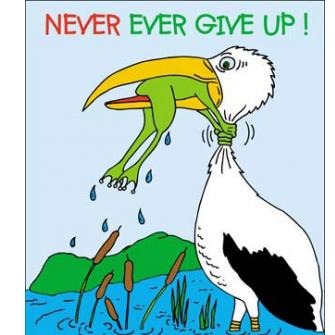 Name:  neverever.jpg
Views: 3661
Size:  20.9 KB