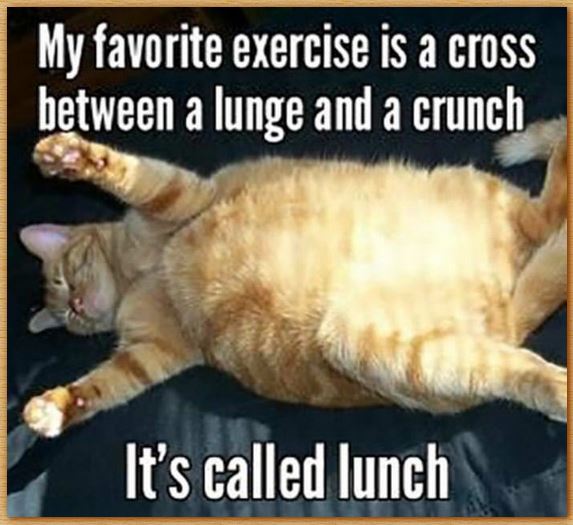 Name:  lunch.JPG
Views: 424
Size:  57.4 KB